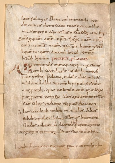 MS Clm 1086, folio 71v. Include il cifrario con il nome di Hygeburg da Unbekannt Unbekannt